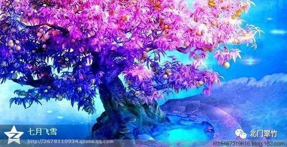 妙鸭相机app下载官网
